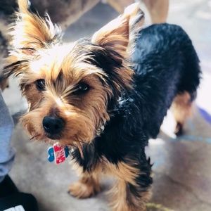 Meet your Posher, Katelyn